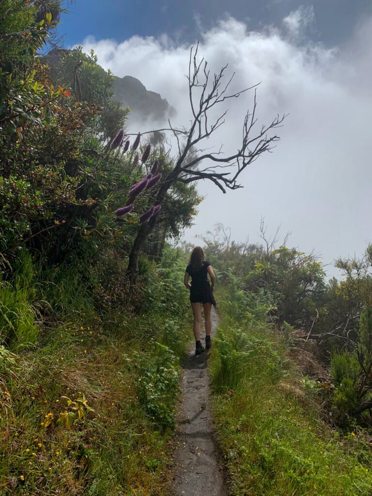 Wandeling Pico grande op Madeira