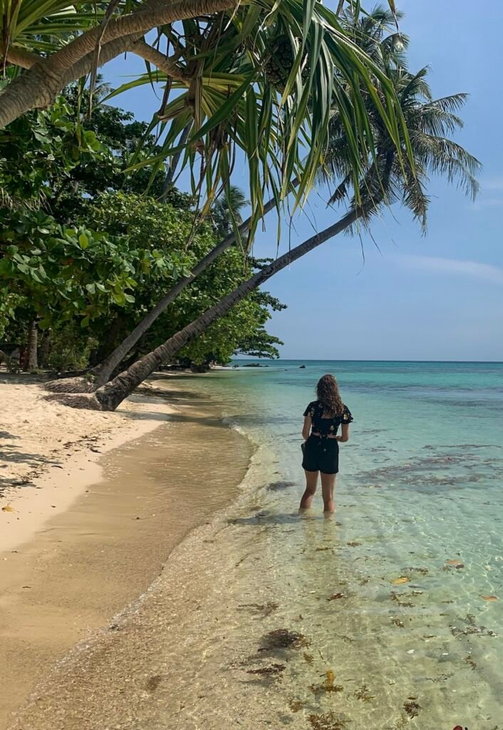 wit zandstrand met palmboom op karimunjawa, java,