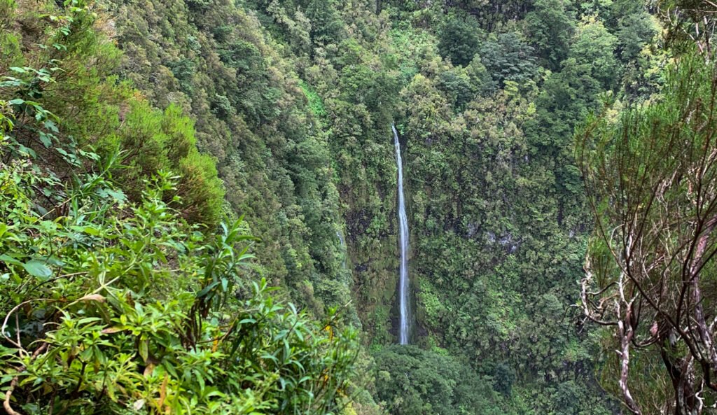 wandeling/hike naar ruivo do paul en waterval op madeira