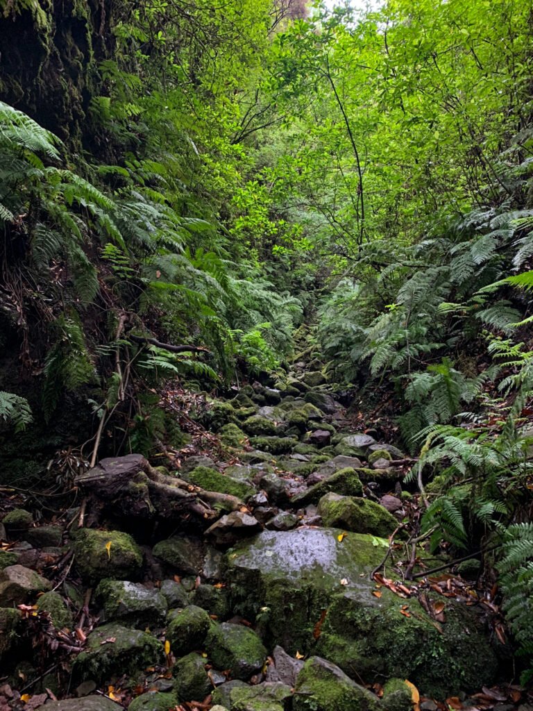 Hike/wandeling naar Poço das Pulgas waterval op Madeira