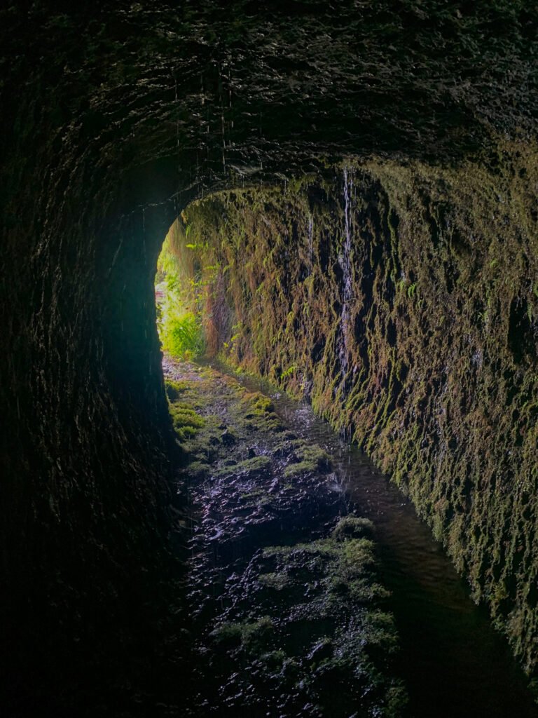 wandeling/hike naar ruivo do paul en waterval op madeira