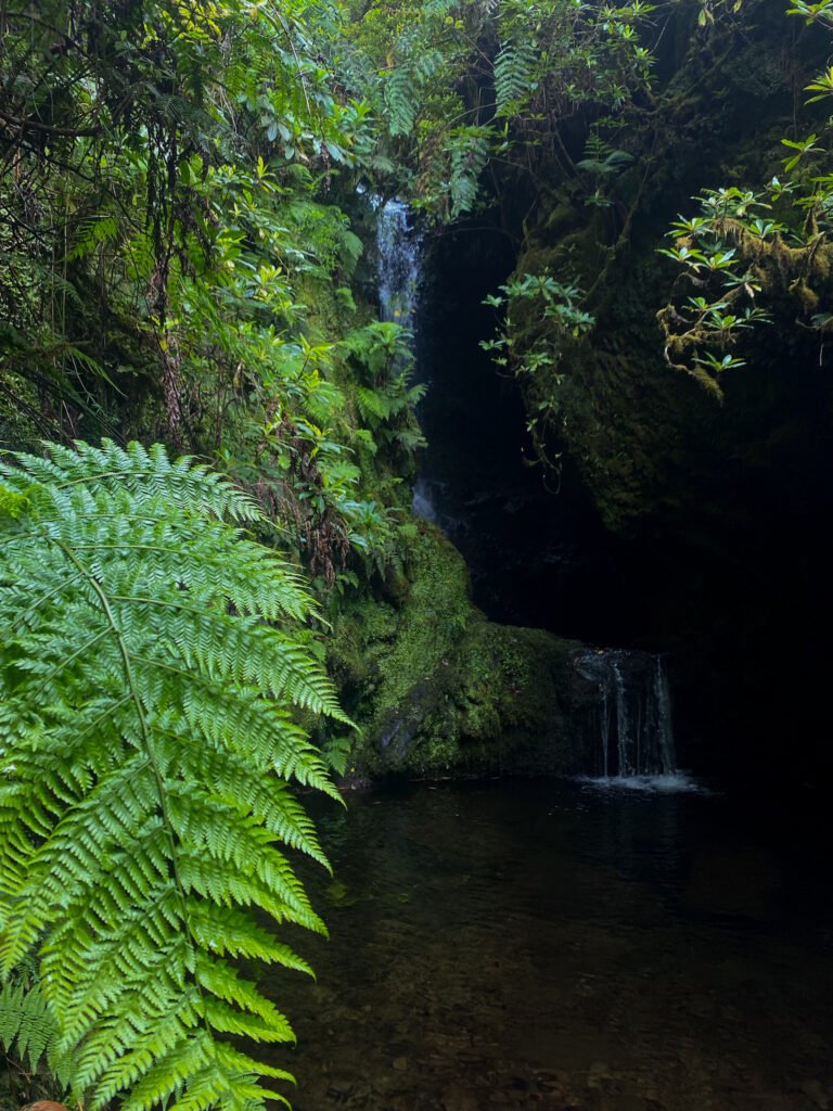 Hike naar Poço das Pulgas waterval op Madeira