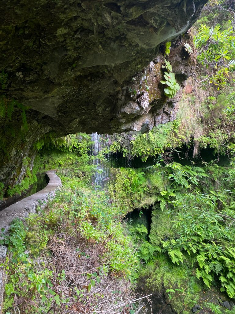 levada wandeling/hike in boaventura op madeira