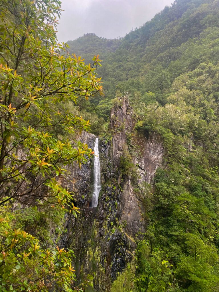 levada wandeling/hike naar Chao da Ribeira op Madeira