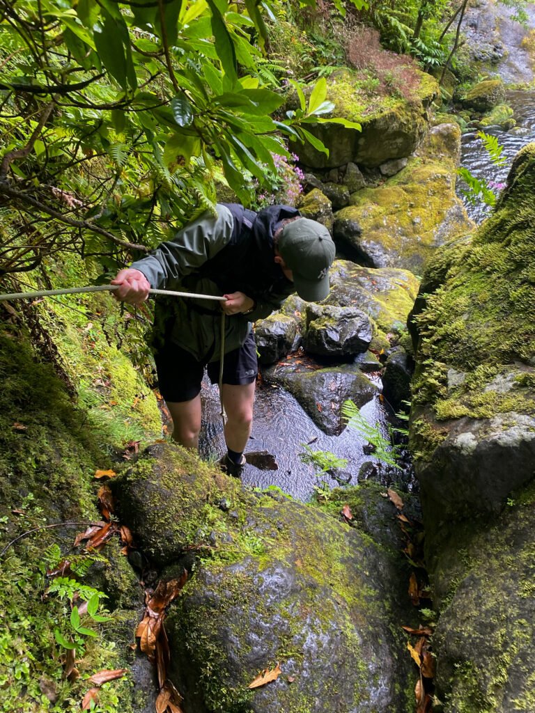 Levada hike/wandeling in Chao da ribeira op Madeira