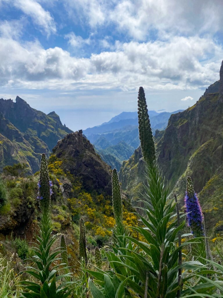 hike wandel pico do arieiro pico ruivo madeira