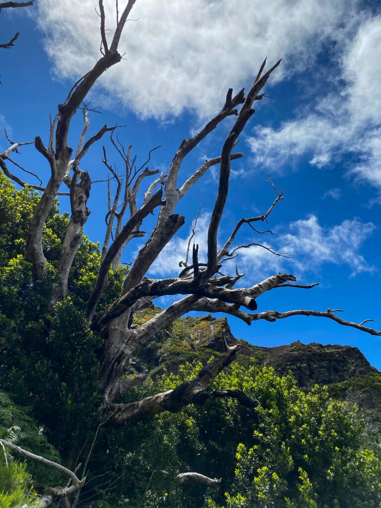 De hike/wandeling naar Pico Grande, Madeira