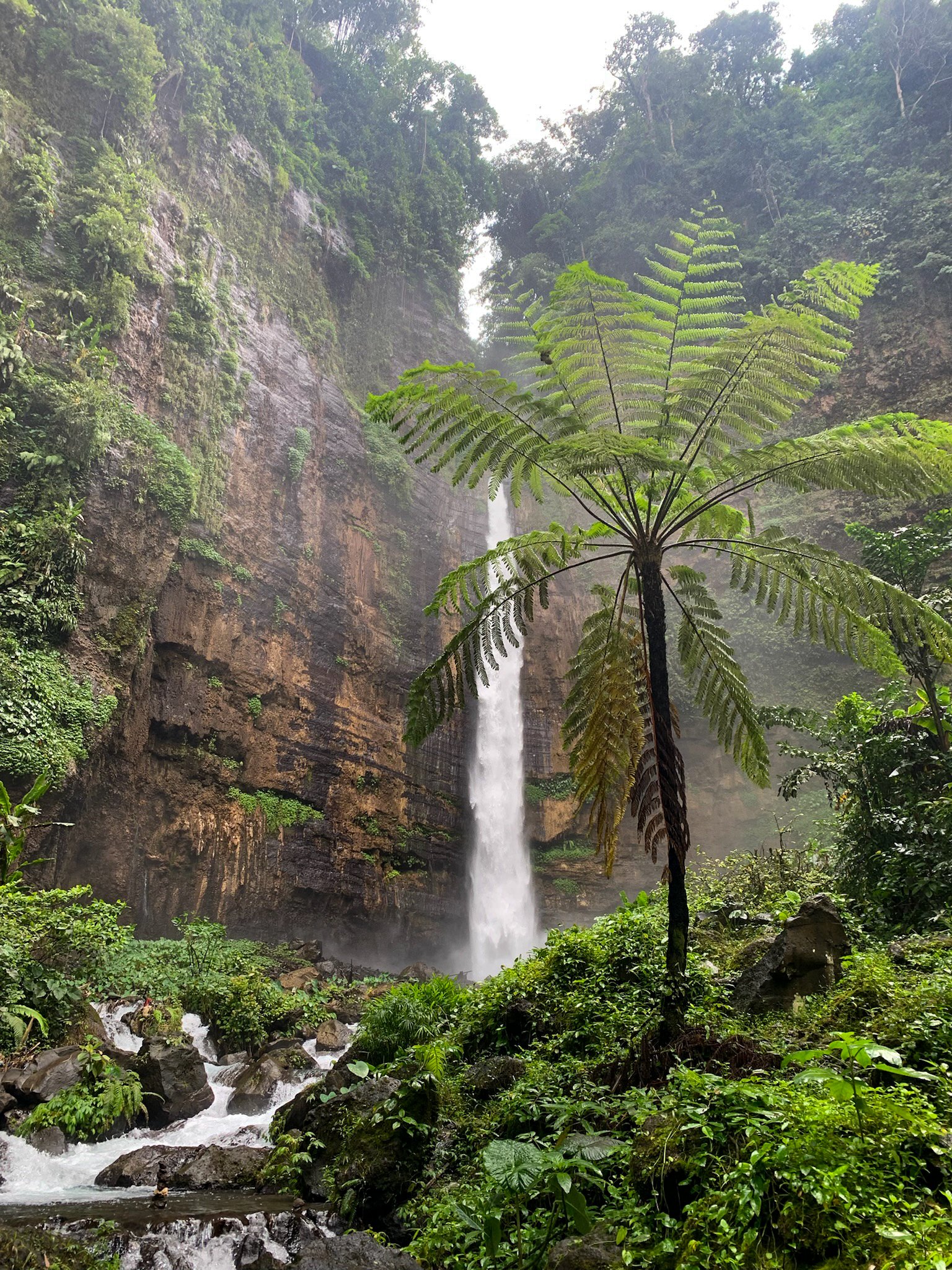kapas biru, java